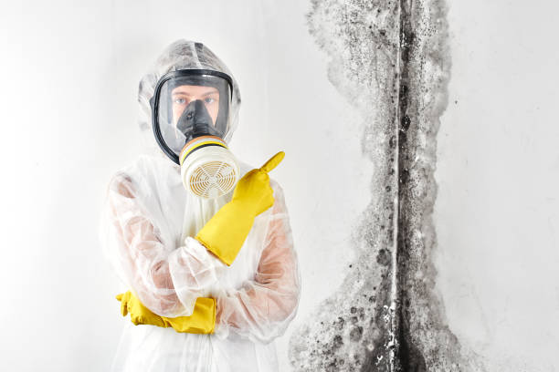 Best Mold Removal for HVAC Installations  in Waukomis, OK