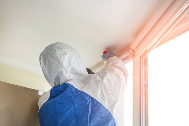 Best Emergency Mold Remediation  in Waukomis, OK